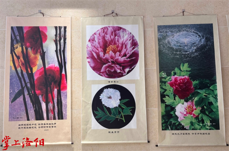 19185444_9615.jpg 微信截图_20240519185344.jpg