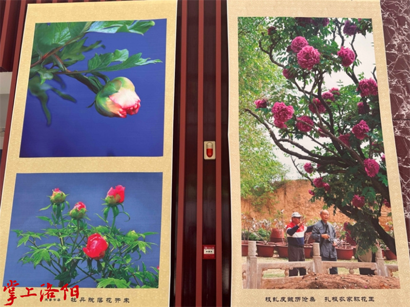 19185541_3772.jpg 微信截图_20240519185256.jpg