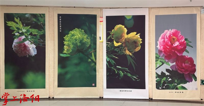 微信截图_20240519185330.jpg