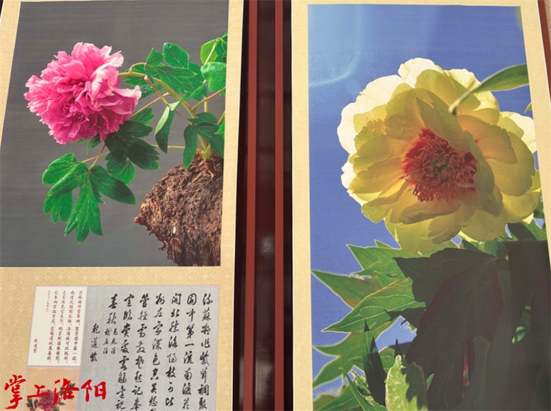 微信截图_20240519185310.jpg