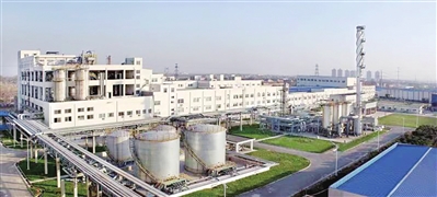 实华合纤公司全景