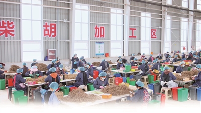 诚通援建的河南国昕中药材加工车间