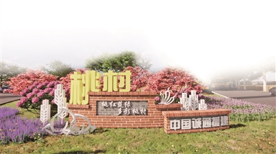 诚通援建的示范村桃村