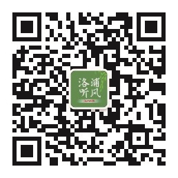 扫码看“小梅花”